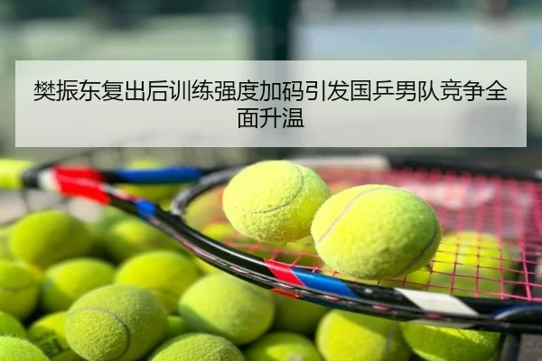樊振东复出后训练强度加码引发国乒男队竞争全面升温